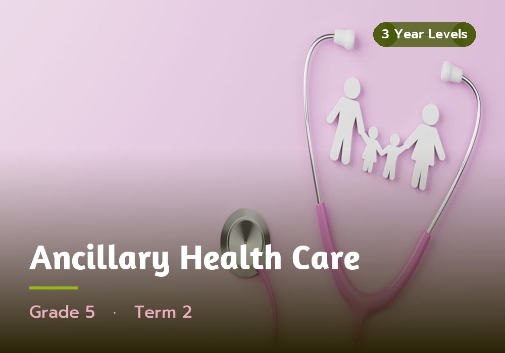 Ancillary Health Care, Grade 5, Term 2 cover