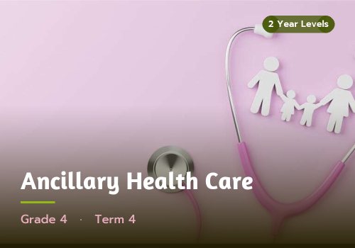 Ancillary Health Care, Grade 4, Term 4 cover