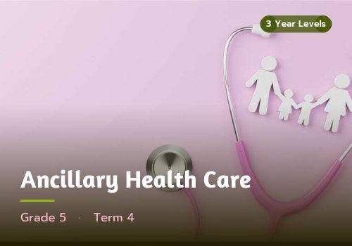 Ancillary Health Care, Grade 5, Term 4 cover